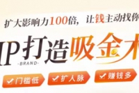 IP00ԴҲӰ100Ǯ㣡