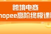 2020羳»-SHOPEEѵӪ߽ռγ̣16ڿΣ
