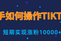 СײTIKTOK3010000˿ߣʵս