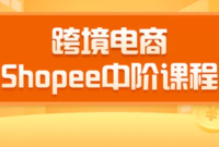 2020�羳���������»���-SHOPEE�н׿γ̣�����Ŀ��ٴ���ȫ���̣�27�ڿΣ�