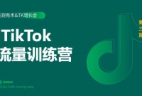 TikTokѵӪᣩPPT